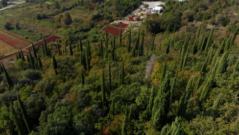 beautiful croatian countryside near adriatic sea coast, dalmatia aerial tilt reveal