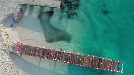 Von-Oben-Nach-Unten-Luftaufnahme-Des-Docks-Am-Tropischen-Meer,-Stachelrochen-Schwimmen-In-Einer-Fischschar