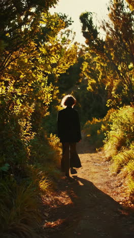 person walking through a golden hour forest path
