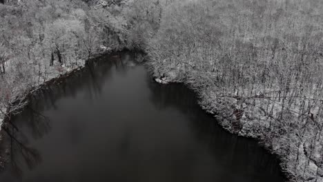 park lake surrounded by leafless trees covered in white snow, winter landscape