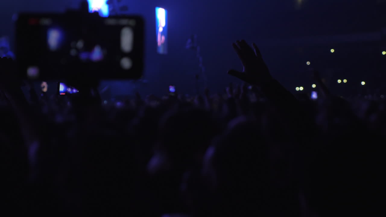 Centinaia di energici fan della musica al concerto.