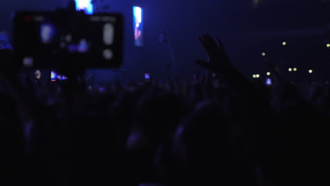 Hunderte-Tatkräftige-Musikfans-Beim-Konzert