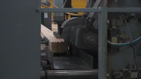 wood processing machine in action