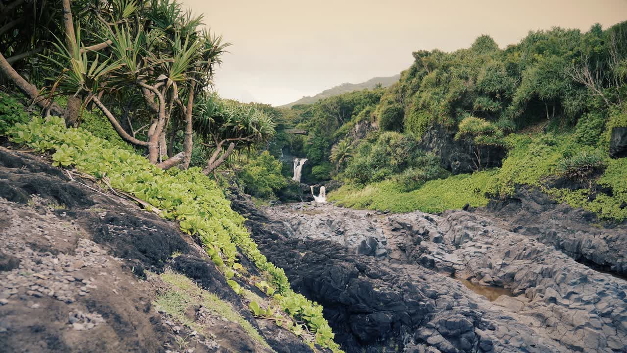 catarata en el paraíso tropical (bucle)