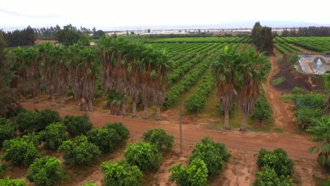 Immerse-yourself-in-the-enchanting-world-of-peasant-life-through-stunning-travel-drone-footage,-capturing-the-rustic-beauty-of-rural-landscapes