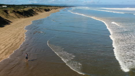 vista aérea de un hombre caminando por una larga playa, olas rodando sobre la playa, nueva zelanda