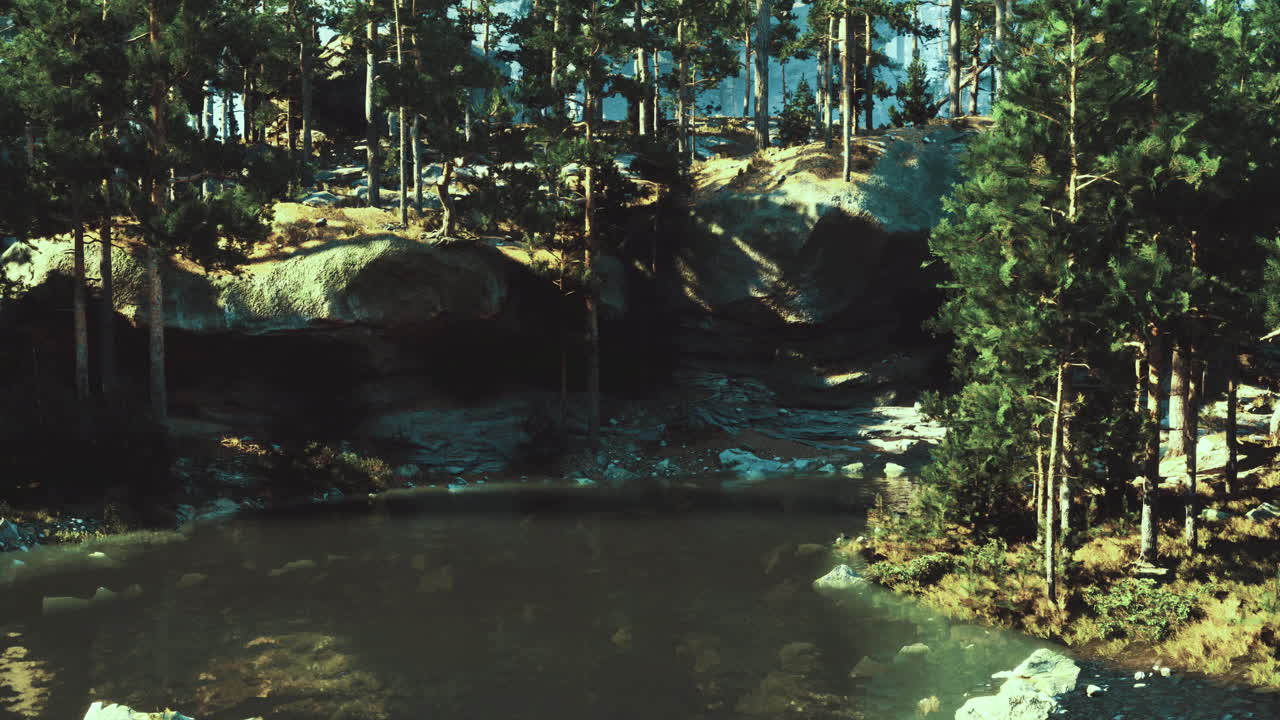Natural landscape with trees and tranquil water at midday