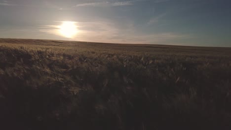 Vista-En-Movimiento-De-Drones-De-Interminables-Campos-Verdes