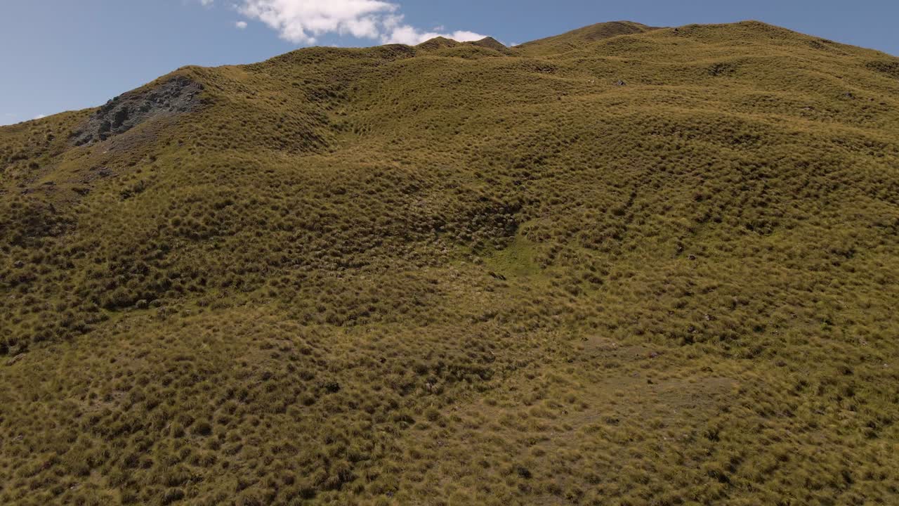 vuelo de avión no tripulado por una montaña empinada cubierta de hierba dorada tussock