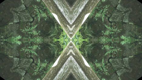 Grünes-Kaleidoskop-Mit-Waldbildern-Aus-Wissahickon-Creek,-Philadelphia,-Nr.-30