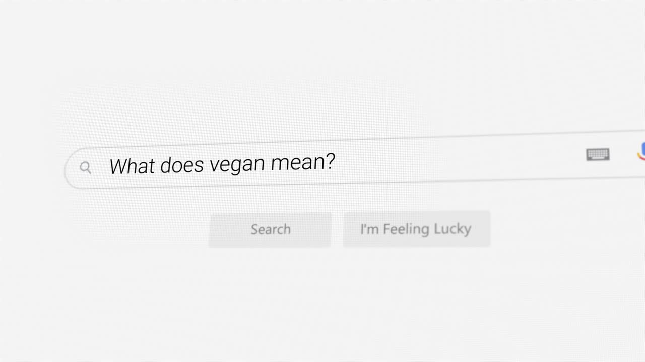 Searching for What does vegan mean? on Internet browser