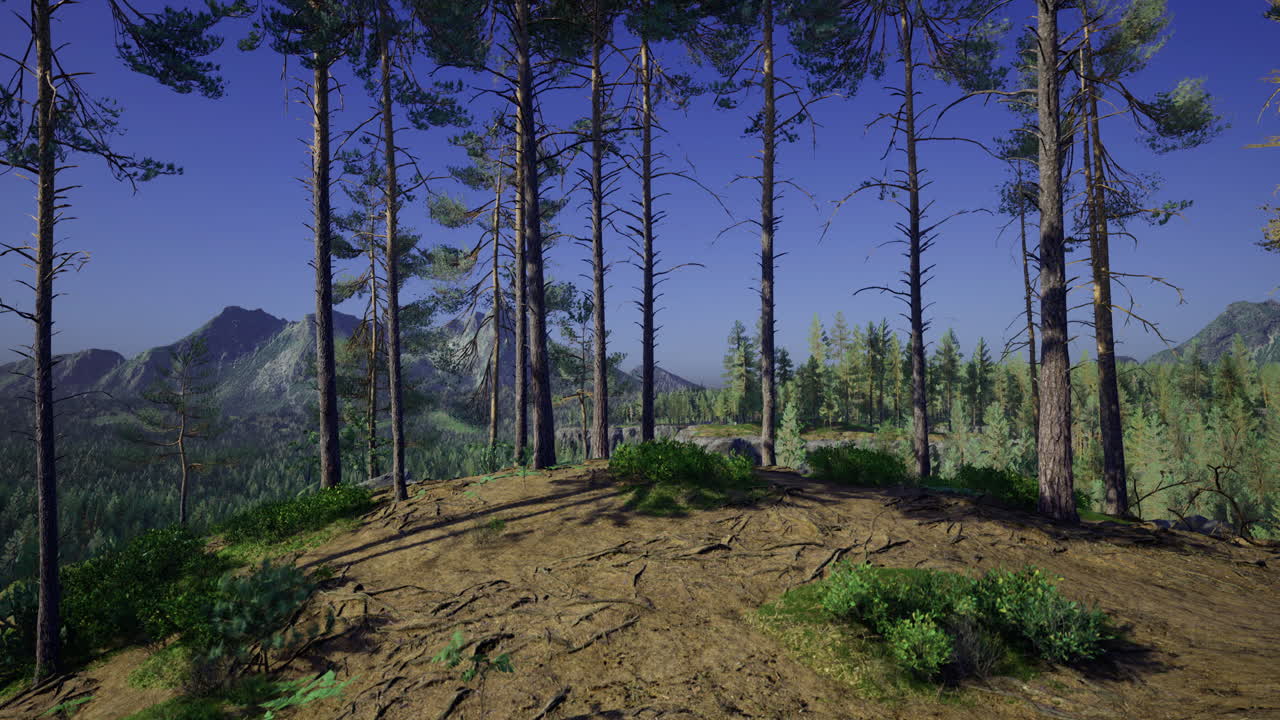 Stunning view of a peaceful forest on a sunny mountain day