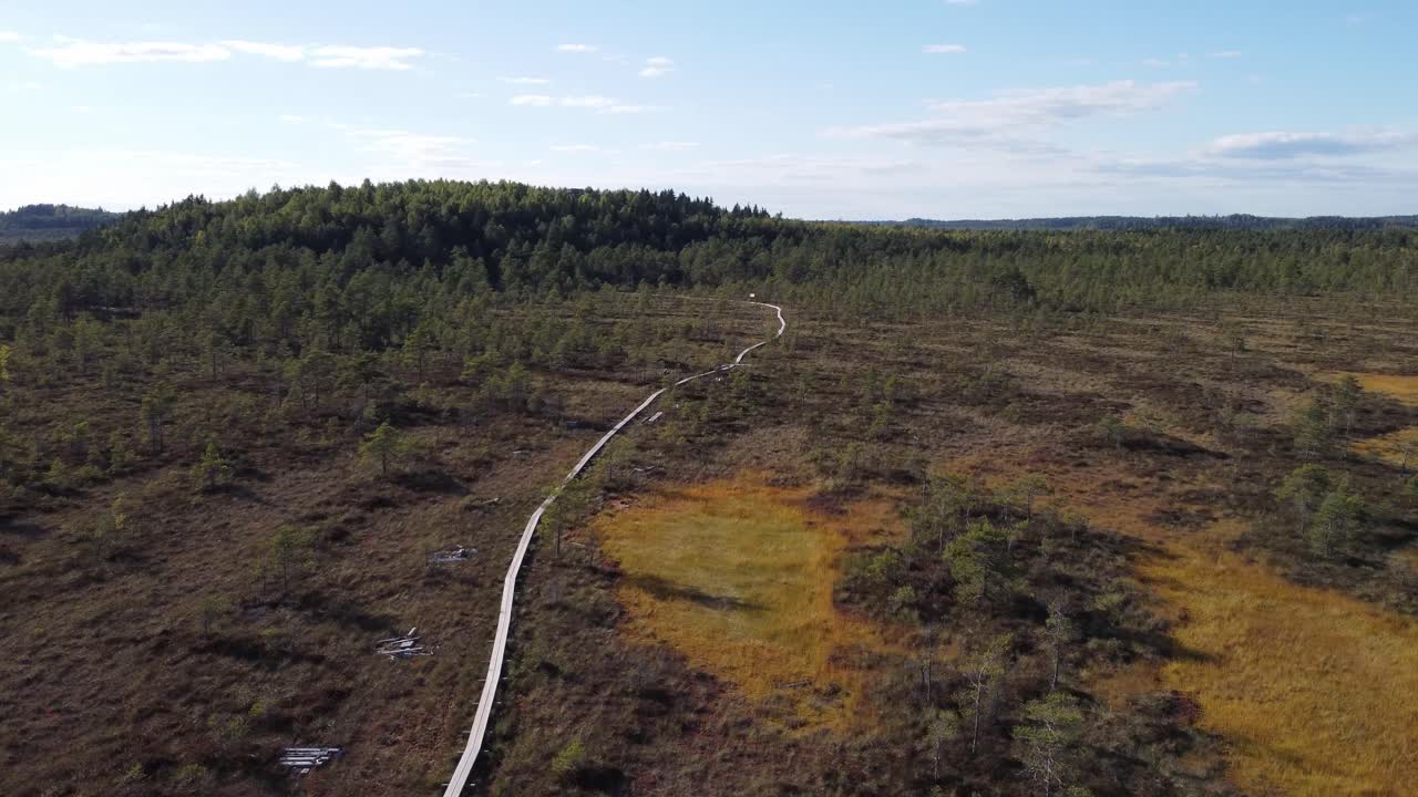 tarimas en un gran pantano. disparo de dron