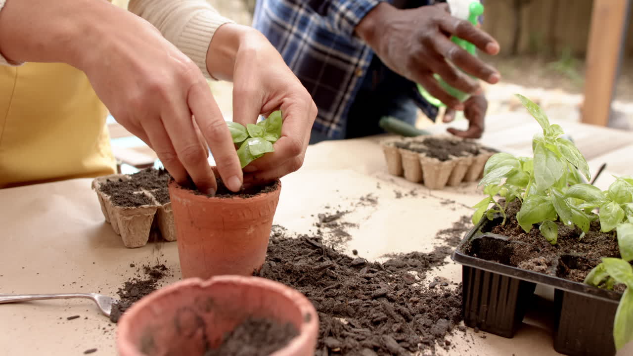 Pareja madura diversa plantando plántulas en una terraza ajardinada, a cámara lenta