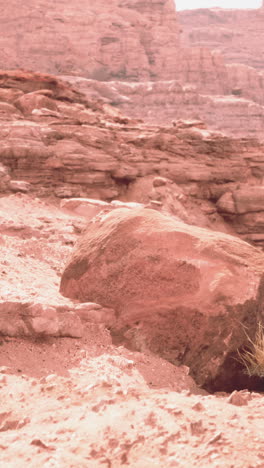 desert landscape with red rock formations