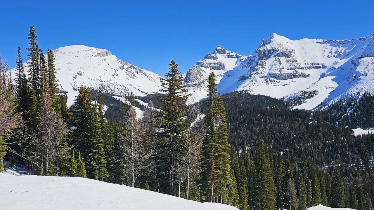 Paesaggio invernale del Parco Nazionale di Banff con piste da sci innevate, una fitta pineta, cime spettacolari delle Montagne Rocciose Canadesi e un cielo azzurro limpido.