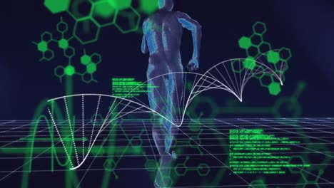 Animation-of-dna-strand-spinning-over-running-human-on-grid