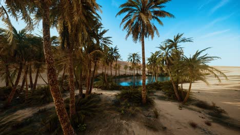 oasis with palm trees in desert