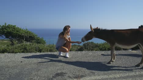 Blonde-woman-feeds-two-wild-donkeys,-one-dark-grey-one-brown,-next-to-a-road