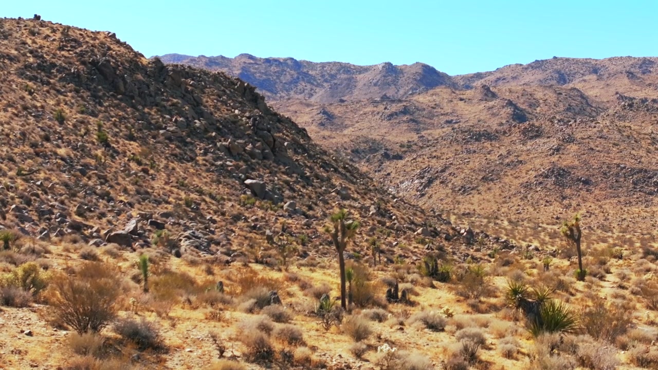 Trilha do Parque Nacional Joshua Tree Califórnia drone aéreo árvores de yucca deserto de Mohjave Colorado Oásis de Quarenta e Nove Palmeiras manhã céu azul outono outubro novembro formação rochosa acidentada cacto para cima