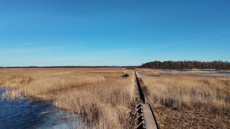 Wooden-Bords-Trail-Through-the-Kaniera-Lake-Reeds-Aerial-Spring-Shot-Lapmezciems,-Latvia