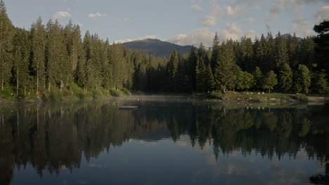 paisaje de verano con bosques de coníferas verdes que se reflejan en el tranquilo lago caumasee en suiza