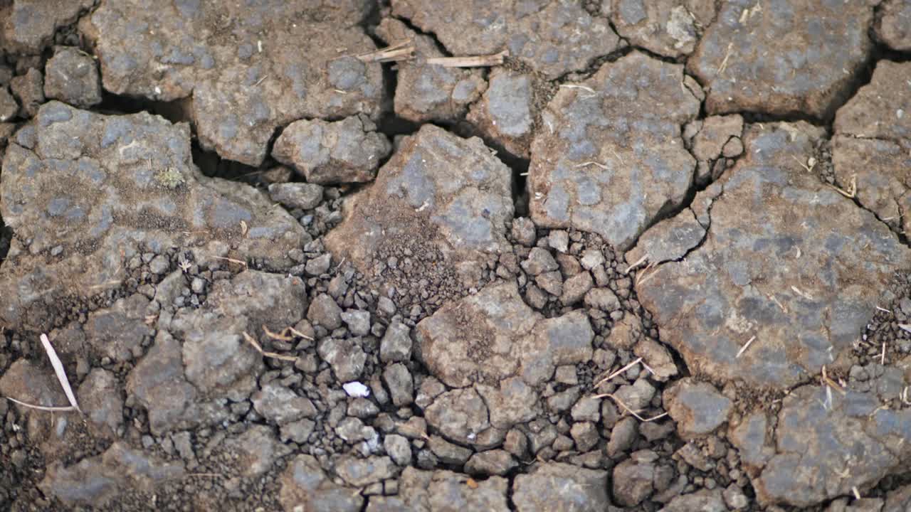 Texture di terreno agricolo secco con crepe e piccole pietre. Di giorno, ripresa ravvicinata, inquadratura stabile, 4k.