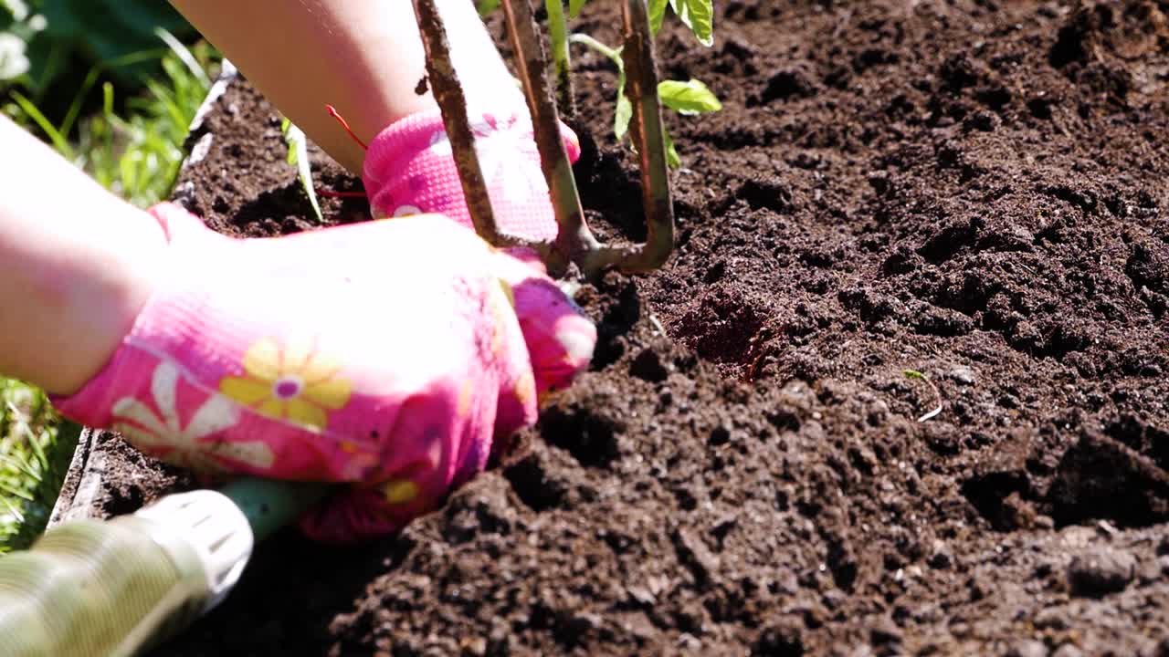 Young female gardener with sexy hands cultivates and prepares land with cultivation tool for planting plants