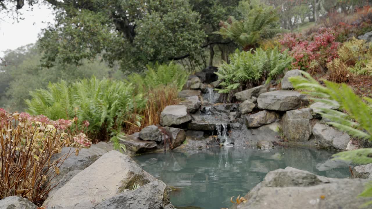 결혼 후 영화 b-roll, 결혼 전 신랑과 신부와의 첫 시선을 위해 사용 된 폭포의 상단 표면의 상승  ⁇ , 자연 식물