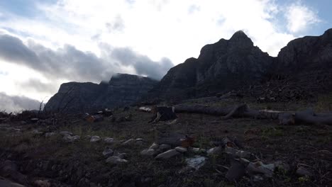 Cortar-Troncos-De-árboles-Esparcidos-Por-El-Suelo-Cerca-De-Table-Mountain-En-Ciudad-Del-Cabo,-Sudáfrica