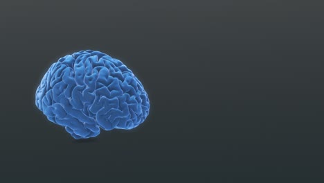 holograma del cerebro humano