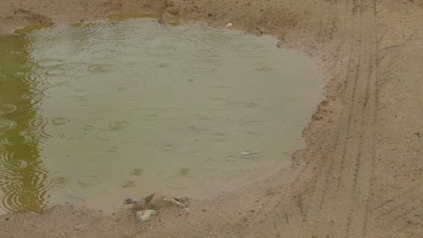 雨滴落入地上的水池的景色