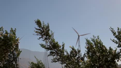 Die-Blätter-Des-Baumes-Bewegen-Sich,-Weil-Der-Wind-Schnell-Weht-Und-In-Der-Ferne-Sind-Einige-Windmühlen-Zu-Sehen,-Die-Laufen