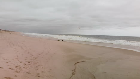 Aerial-fly-over-of-a-small-dune-and-up-to-see-the-beach-town-as-waves-crash-into-the-coastline-of-a-beautiful-empty-beach