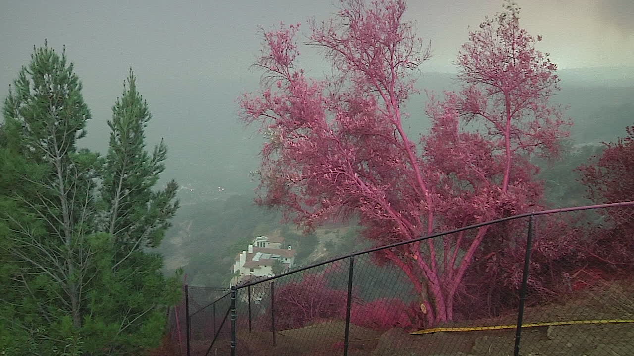 토마스 산불이 걷잡을 수 없게 되면서 산타아나 바람이 산과 협곡 주변으로 돌풍을 일으킵니다.
