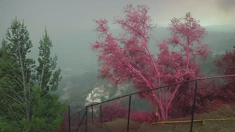 los vientos de santa ana soplan alrededor de las montañas y los cañones mientras el incendio de thomas se sale de control