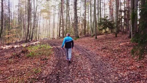 young man walking through a forest in autumn scenery