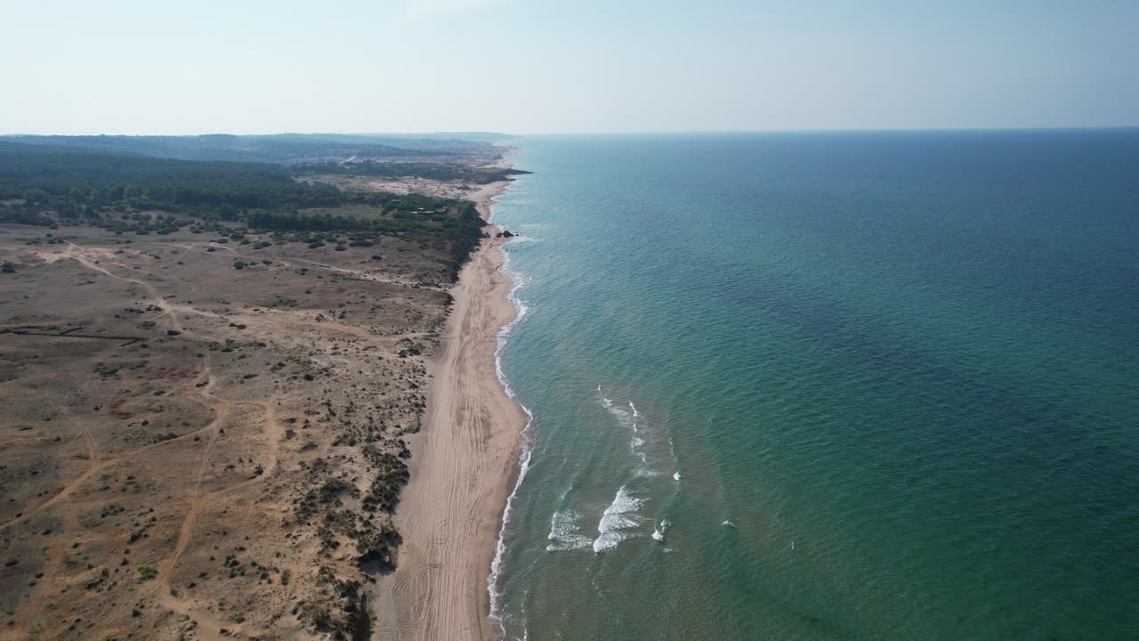 playa de mar en el bosque