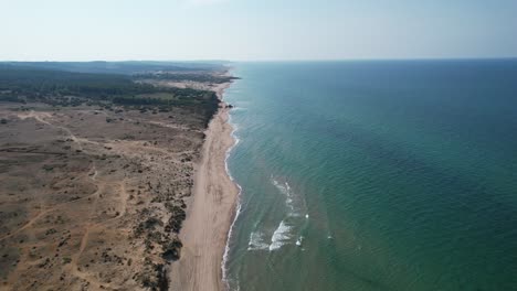 Sea-Beach-in-Forest