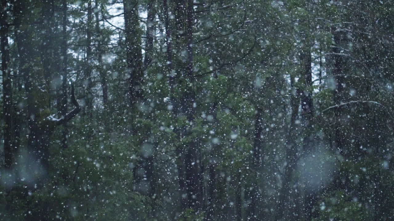 Slow-motion shot driving through snow storm, big flakes hit the window