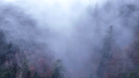 aerial over a dark forest flying in fast moving clouds in 4k