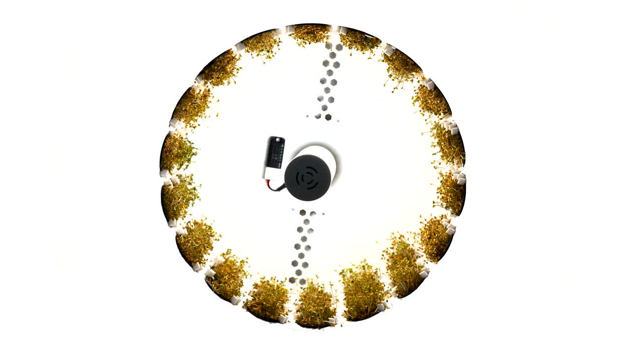 циркулярная система выращивания микрозеленых растений