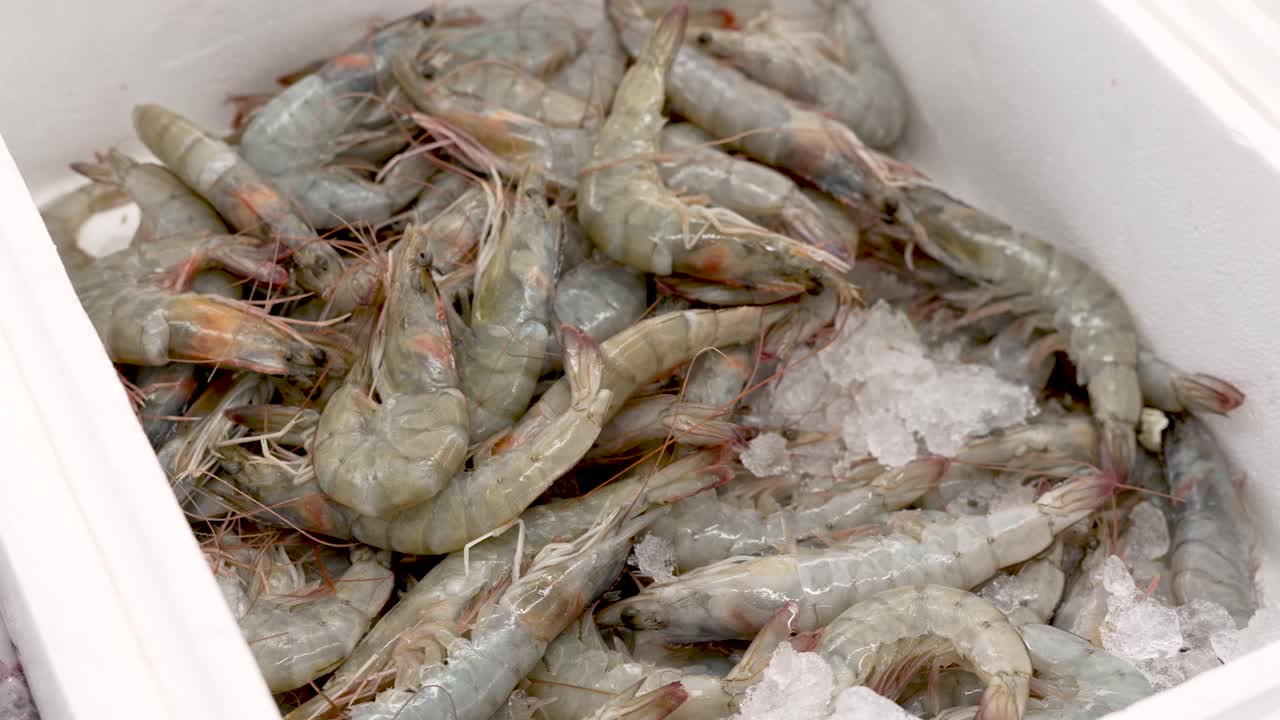 A bustling local market showcases an array of fresh shrimp, glistening on ice. Vendors engage with customers, sharing tips on preparation and cooking methods, igniting culinary inspiration