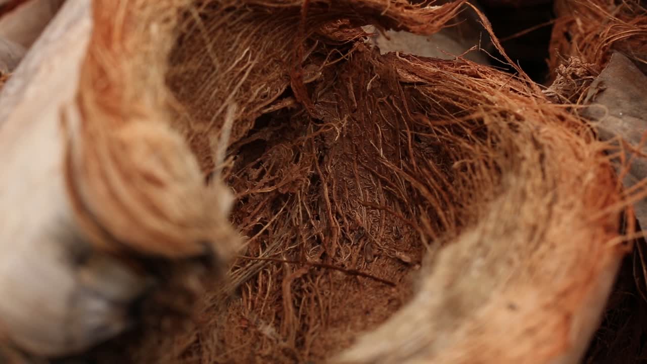imágenes de primer plano de cáscara de coco seca