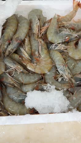 fresh raw shrimp on ice