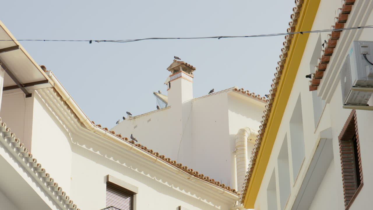 Pigeons perch and fly around traditional tiled rooftops in a quiet Spanish village. Bright daylight and whitewashed buildings evoke a peaceful Mediterranean atmosphere