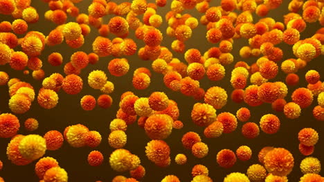 orange floral spheres