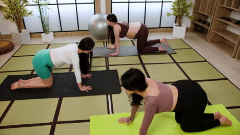 Frauen-Machen-Yoga-Drinnen