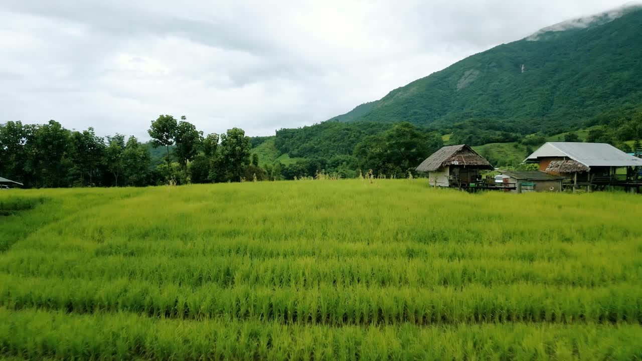 태국 치앙마이 인근의 도이 이타논에서 아름다운 산과  ⁇  테라스의 4k 영화 자연 공중 드론 영상