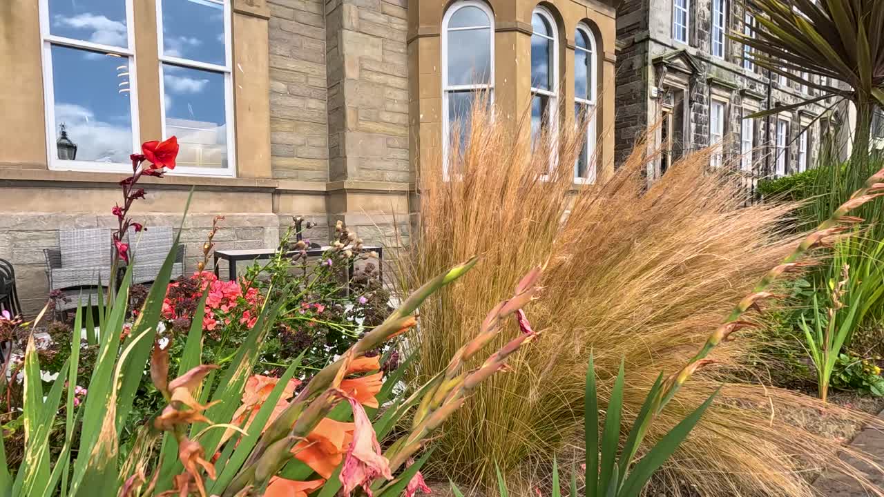 Golden ornamental grass and vibrant flowers move in the wind outside a historic stone building, captured in bright daylight with a steady camera